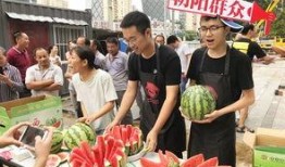 朝阳吃瓜群众网